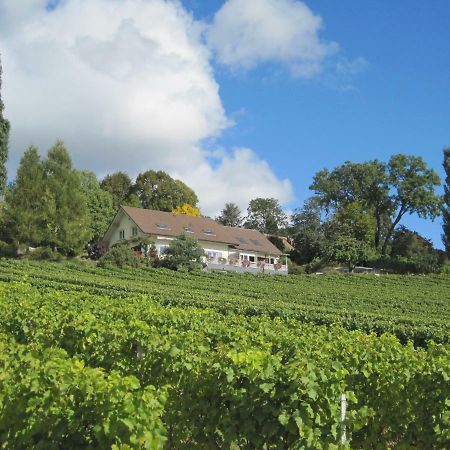 ホテル Domaine Beauregard ロール エクステリア 写真